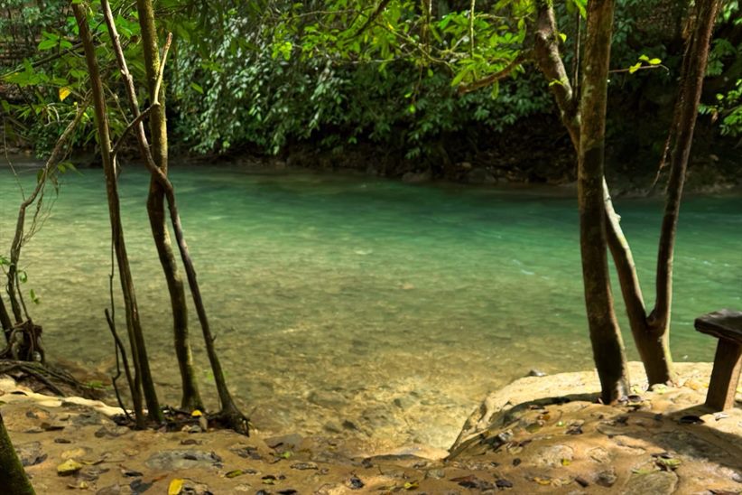 Zona de camping en Finca Papirucho